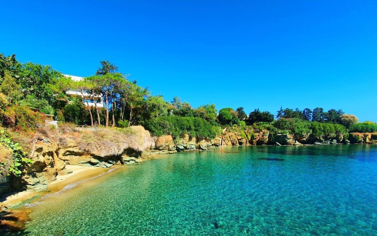 Dioskouroi Apts Агия-Пелагия  Экстерьер фото